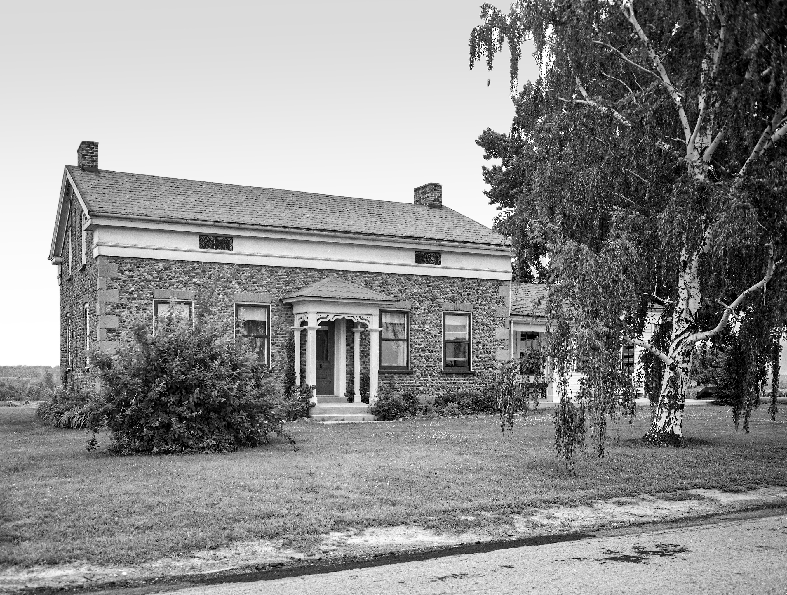 GP Monroe Chili Chi-5_1 N